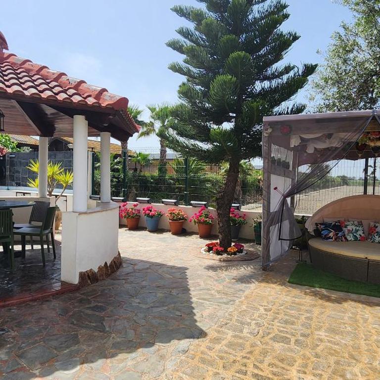 Villa in Valencia's natural park - Vacation Home - 20