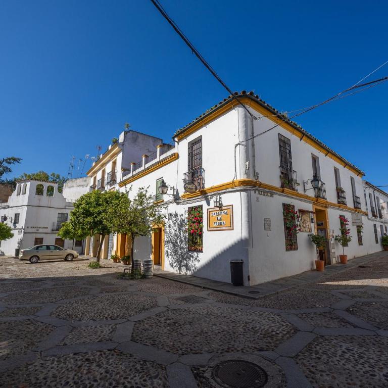 Cozy Retreat with Patio Steps from Alcázar - Apartamento - 36