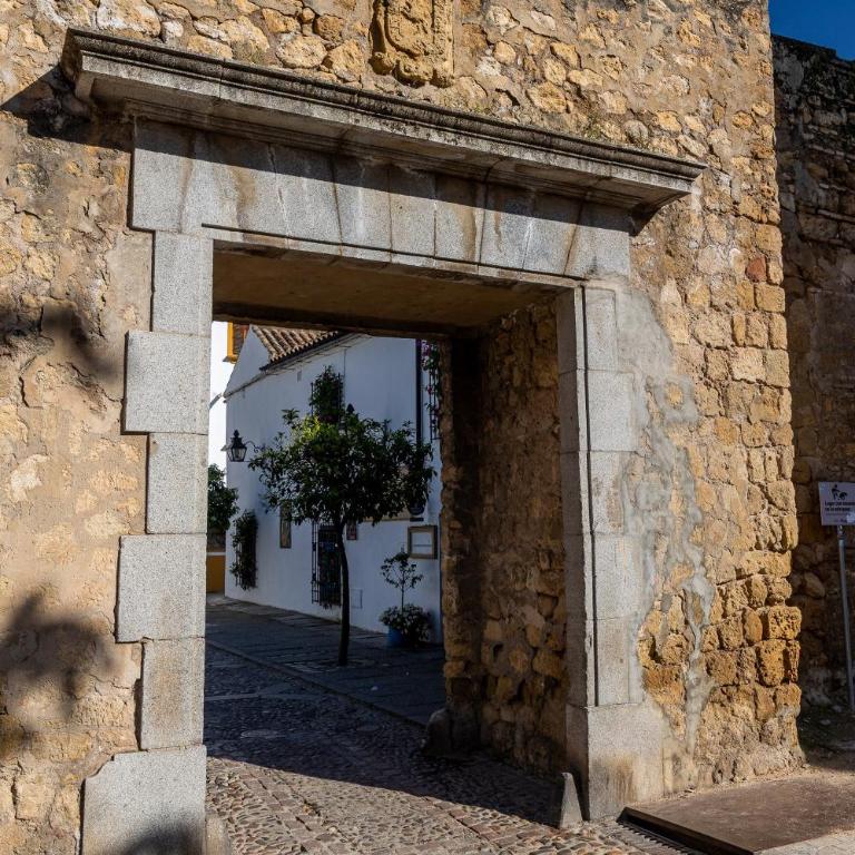 Cozy Retreat with Patio Steps from Alcázar - Apartamento - 37