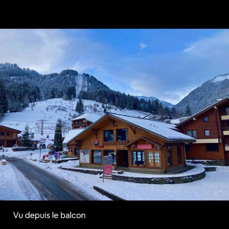 Duplex 2 chambres portes du soleil - Appartement 2 Chambres - 11