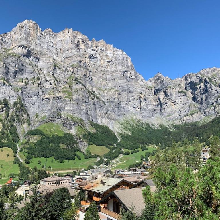 Lärchenwald 403 - Ski Pisten, Torrent, Aussicht, Familiennest - Studio mit Bergblick - 17