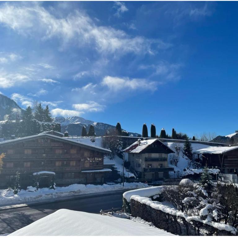 Authentic Megève Chalet Ski & Parking - Appartamento con 2 Camere da Letto - 4