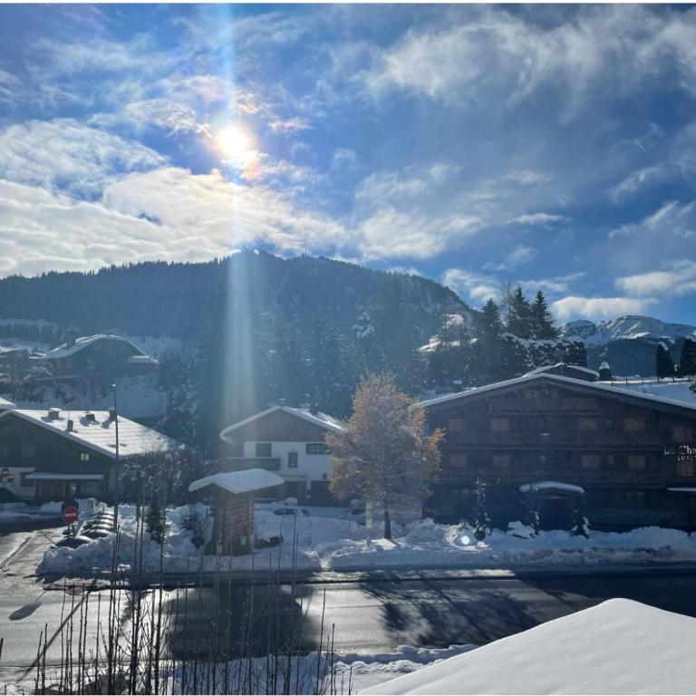 Authentic Megève Chalet Ski & Parking - Appartamento con 2 Camere da Letto - 6
