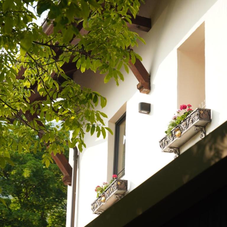 Historic Hotel Bircher B&B Apartments near Sterzing - Appartamento Superior - 1