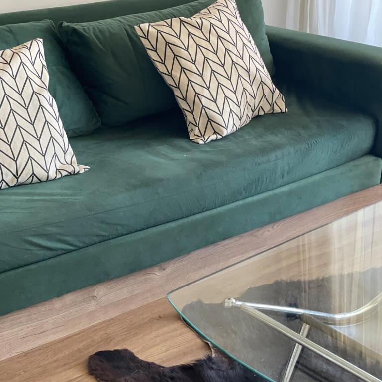 Dpto en Neuquén amueblado 2 ambientes, muy luminoso en zona céntrica - Apartamento de 1 dormitorio - 3