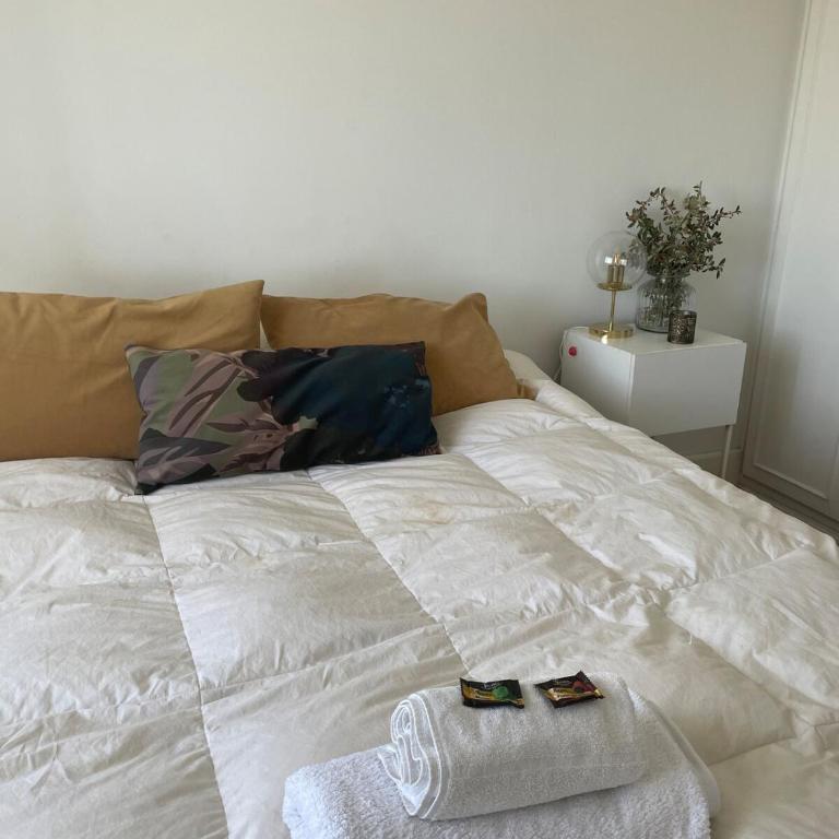 Dpto en Neuquén amueblado 2 ambientes, muy luminoso en zona céntrica - Apartamento de 1 dormitorio - 21