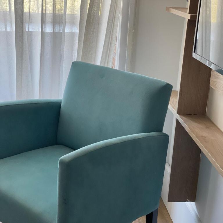 Dpto en Neuquén amueblado 2 ambientes, muy luminoso en zona céntrica - Apartamento de 1 dormitorio - 31