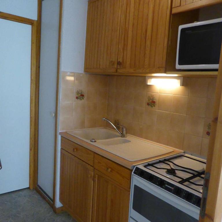 Charmant studio cabine, au pied des pistes, animaux admis - Studio - 12