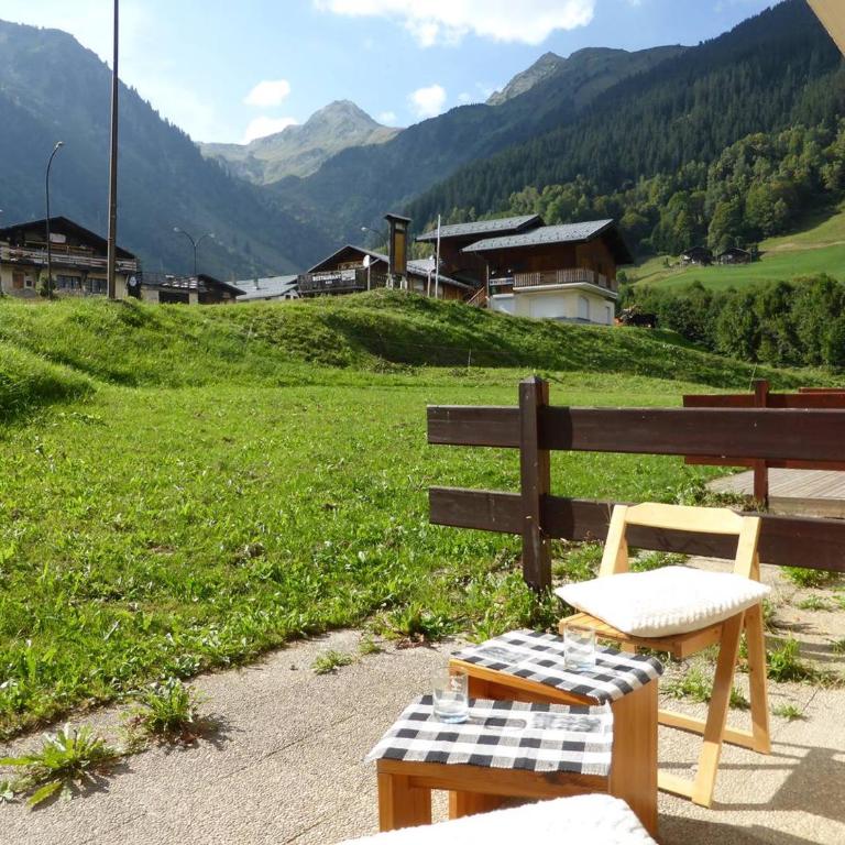 Charmant studio cabine, au pied des pistes, animaux admis - Studio - 13