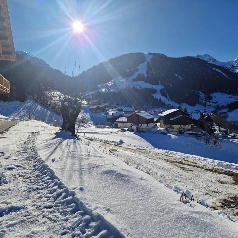 Chalet lumineux à Arêches-Beaufort avec terrasse et cuisine équipée - FR-1-342-332 - Appartement - 17
