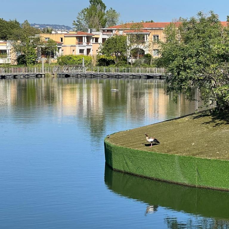 Appartement Mandelieu Riviera Resort vue sur lac - Apartment mit 1 Schlafzimmer - 13