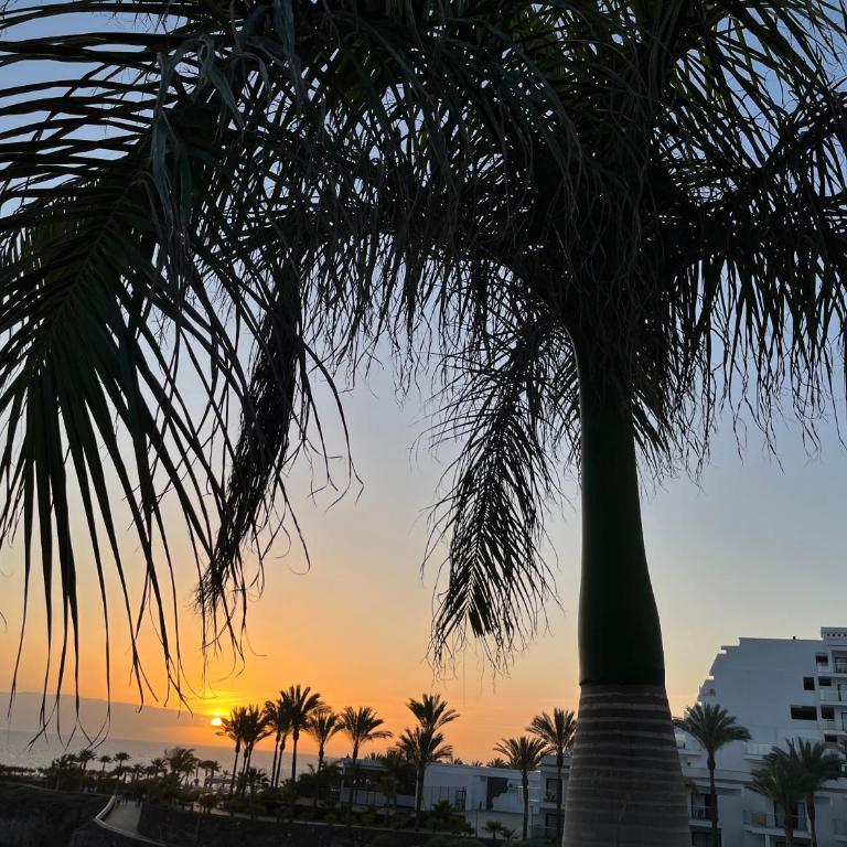 Ocean View Apartment in Club Paraiso, PP139 - Apartamento de 1 dormitorio - 31