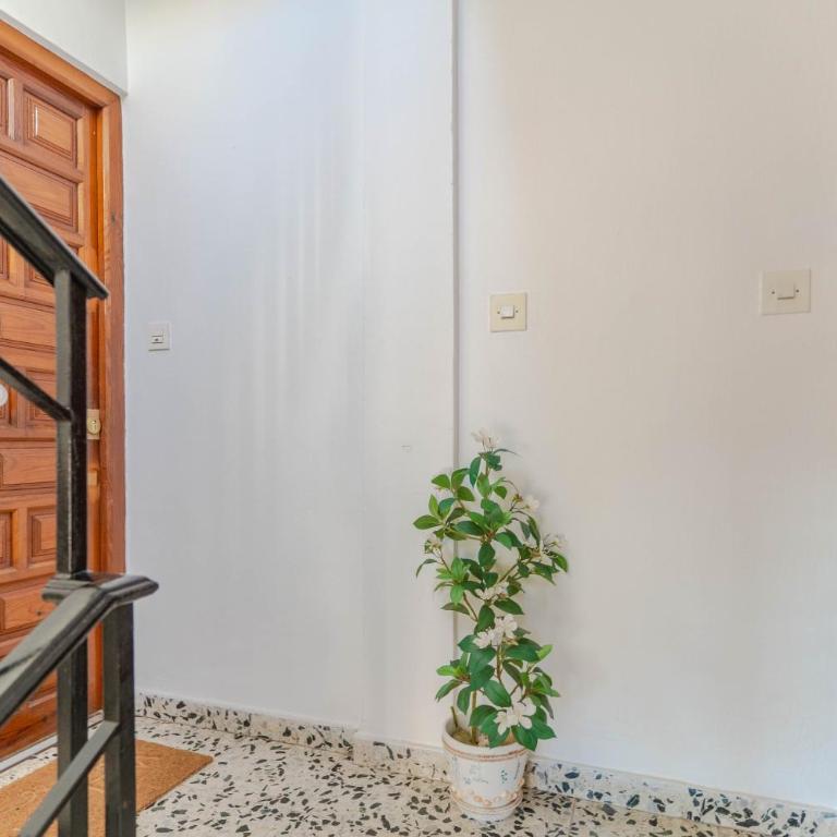 Cierva 11 - Sun & comfort 500m from the beach - Apartamento de 2 dormitorios - 35