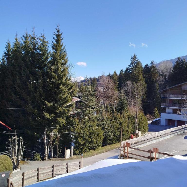 Studio avec balcon et parking à Megève - Appartement - 5