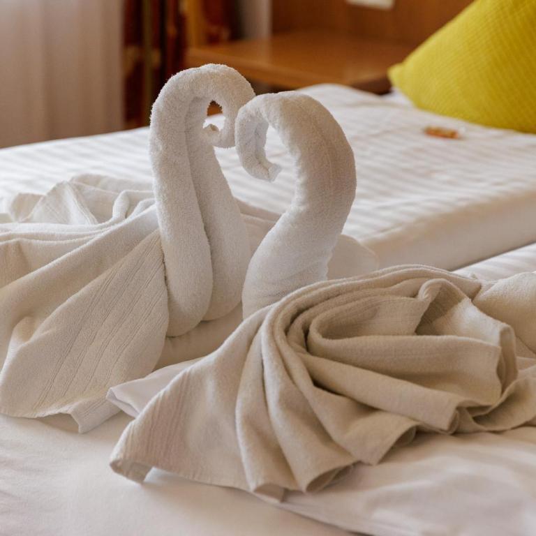 Hotel am See - Seeresidenz - Superior Suite mit Seeblick - 9