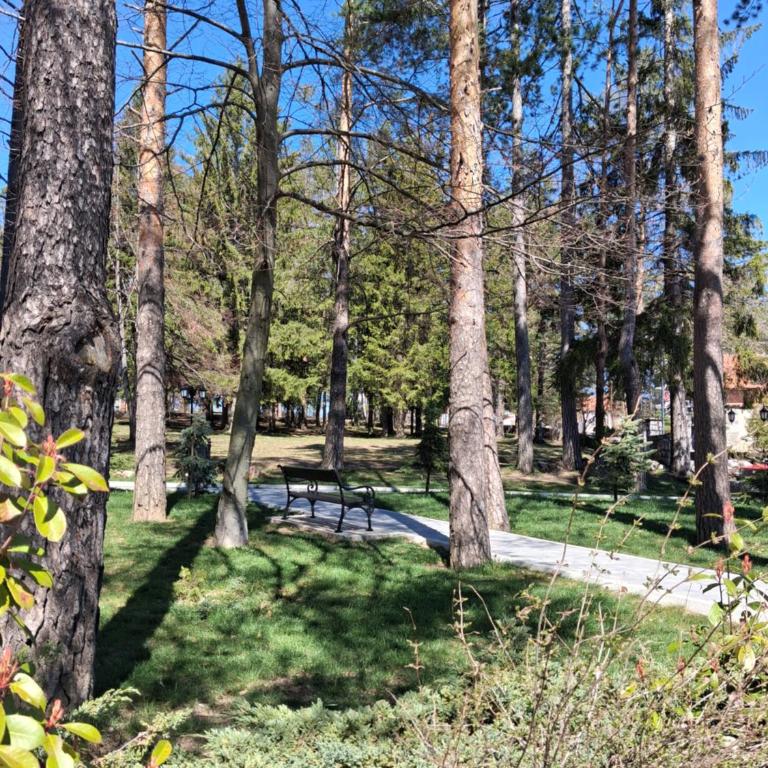 Avala Nest - Titova Vila - One-Bedroom Apartment - 41