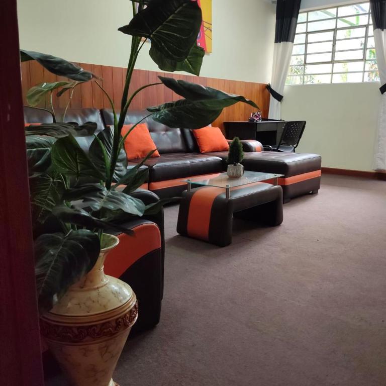 Eliana department - Two-Bedroom Apartment - 12