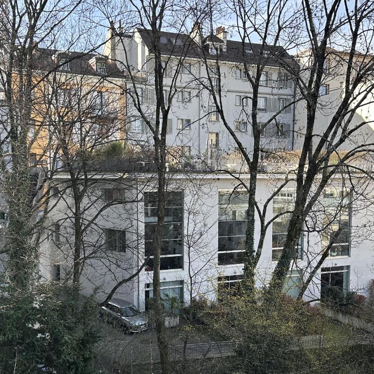 Luxury Duplex with Rooftop, View of Lausanne Cathedral - Loft-Apartment mit 3 Schlafzimmern - 67