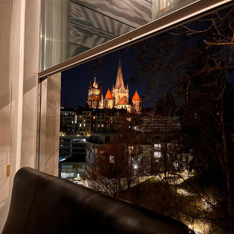 Luxury Duplex with Rooftop, View of Lausanne Cathedral - Loft-Apartment mit 3 Schlafzimmern - 10