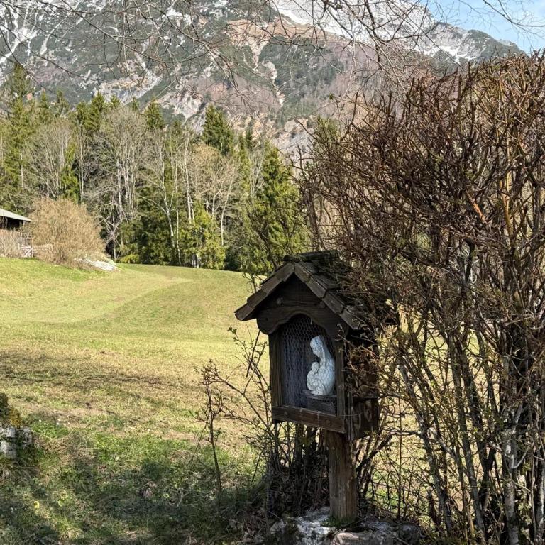 Nusshof - Haus mit 4 Schlafzimmern - 48
