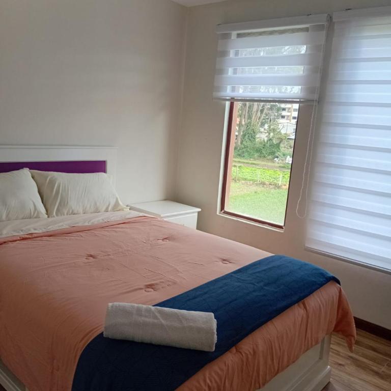 Casa Acogedora Ordoñez Lasso - Villa - 14