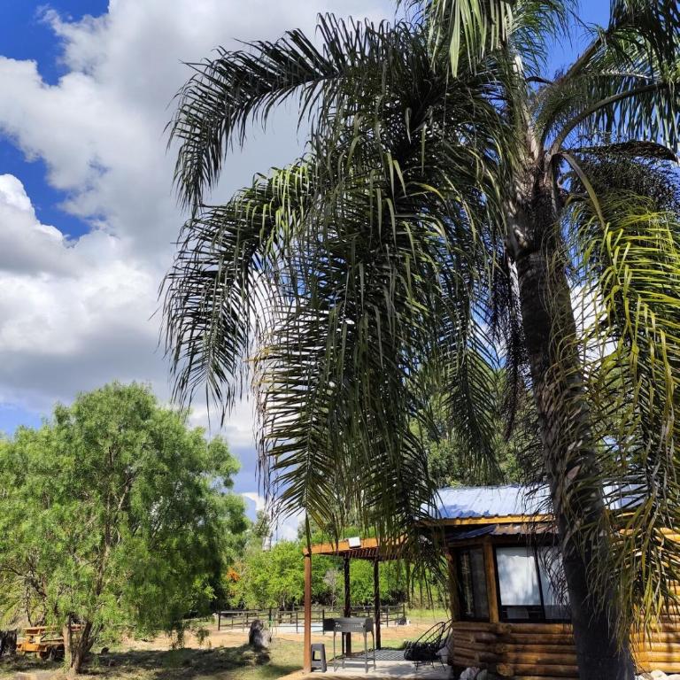Cabaña a estrenar en el bosque, con pileta privada - Casa con 1 dormitorio - 15