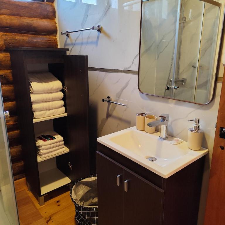 Cabaña a estrenar en el bosque, con pileta privada - Casa con 1 dormitorio - 21