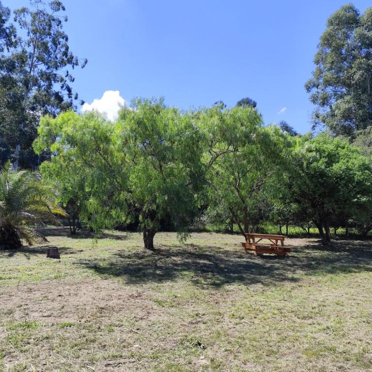 Cabaña a estrenar en el bosque, con pileta privada - Casa con 1 dormitorio - 24