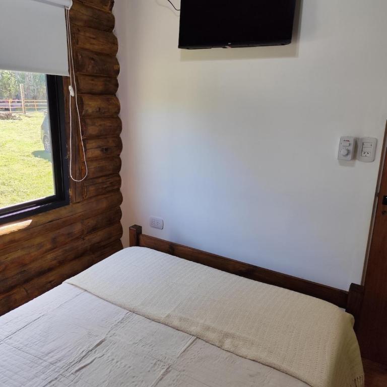 Cabaña a estrenar en el bosque, con pileta privada - Casa con 1 dormitorio - 25