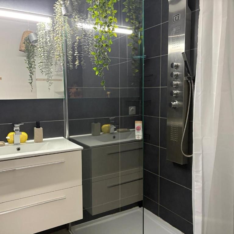 Chez Elisa Patrick Arc en Ciel - Appartement 2 Chambres – Vue sur Océan - 17