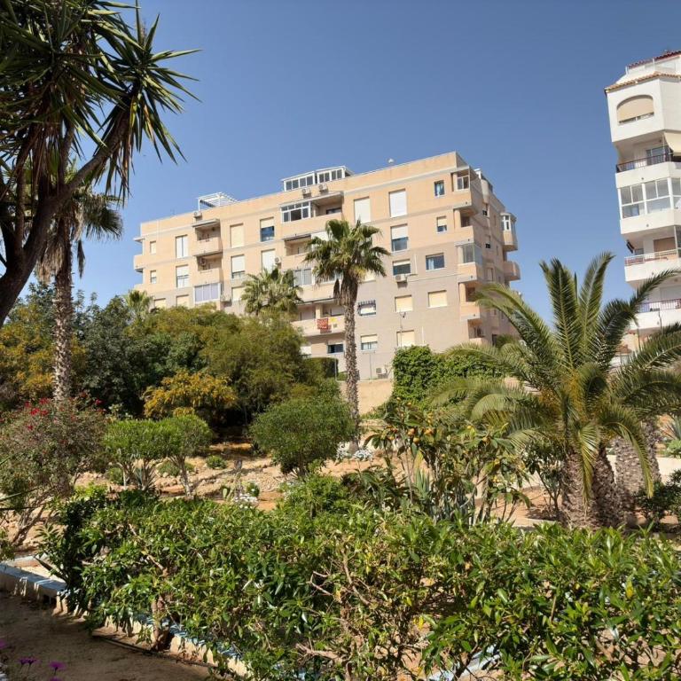 Felicidad en Torreblanca - Apartamento de 1 dormitorio - 17