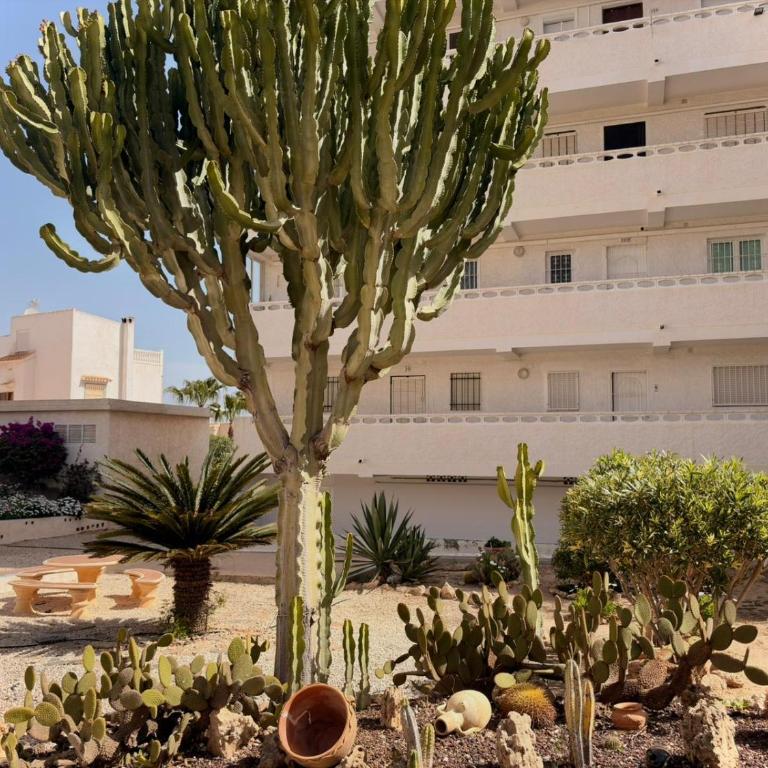 Felicidad en Torreblanca - Apartamento de 1 dormitorio - 1