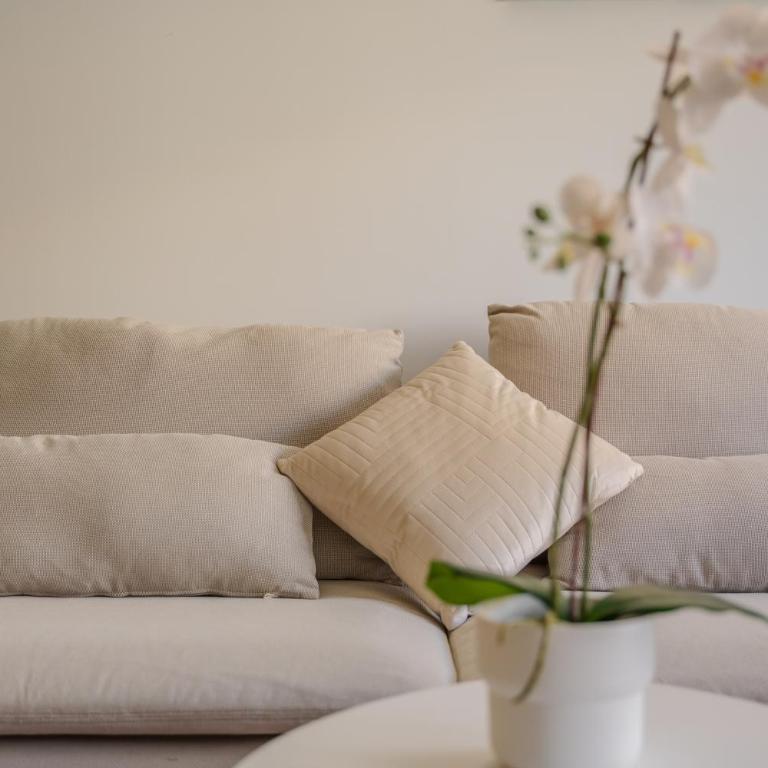 Sunny Studio with Pool & Terrace & WIFI - Apartamento de 1 dormitorio - 19