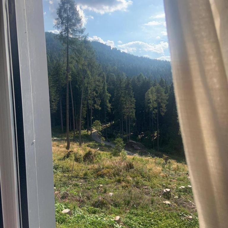 La finestra sul bosco - Apartamento de 2 dormitorios - 9