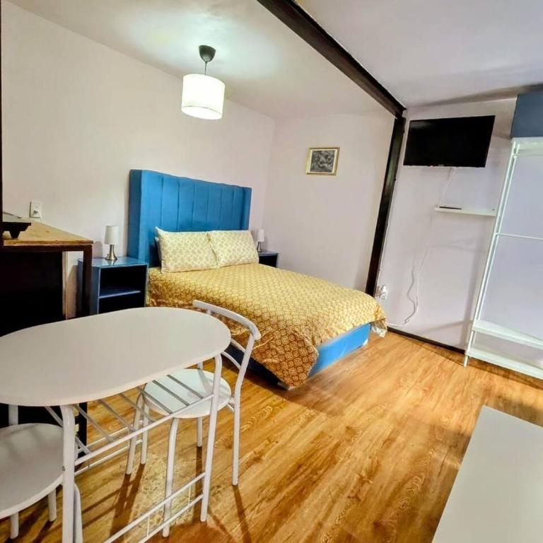 Suite Azul 3 personas comoda y equipada - Vacation Home - 52