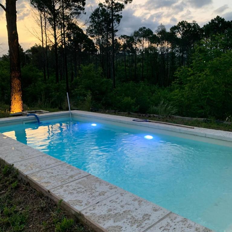 House in the woods, nature and relaxation - Chalet de 2 dormitorios - 3