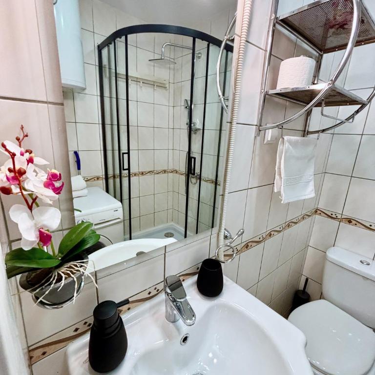 Studio Gallery 29 - Studio sa Terasom - 23