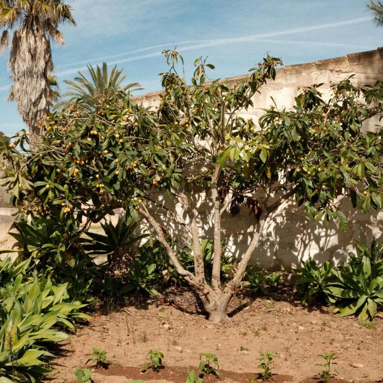 La Molina Mallorca - Apartamento - 35