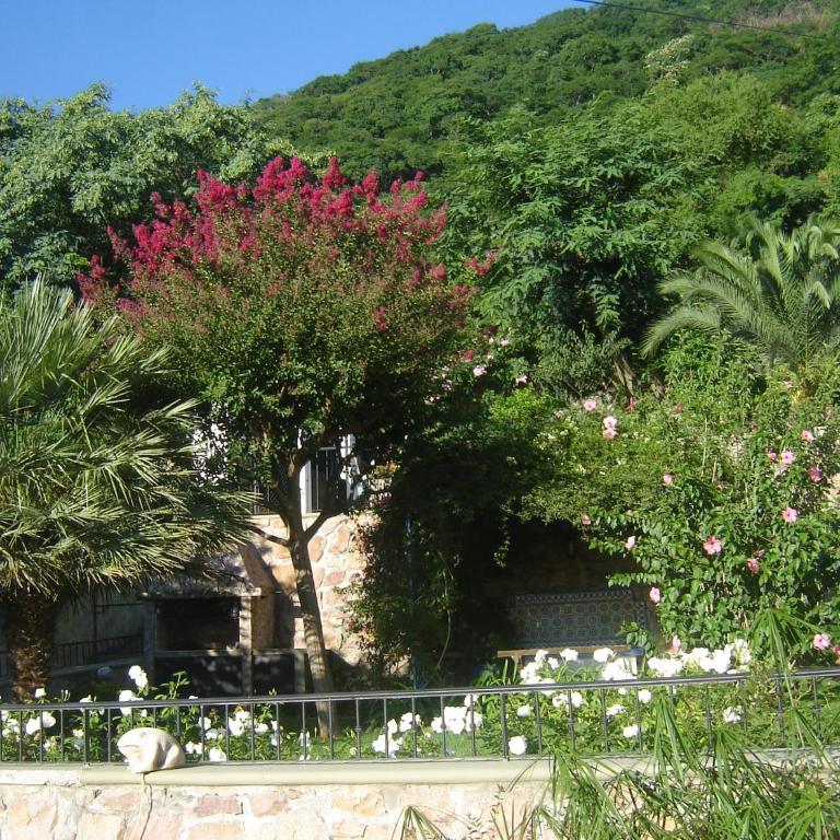 Hermosa casa con las mejores vistas - Habitación Doble con vistas al jardín - 2