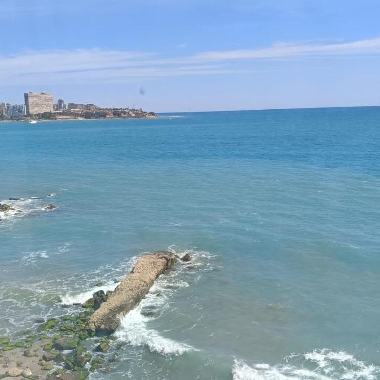 Piso frente al mar - One-Bedroom Apartment - 6