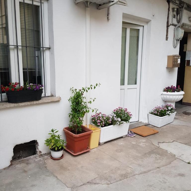 Casa Bon Bon, tra il Valentino e il cuore di Torino - One-Bedroom Apartment - 1