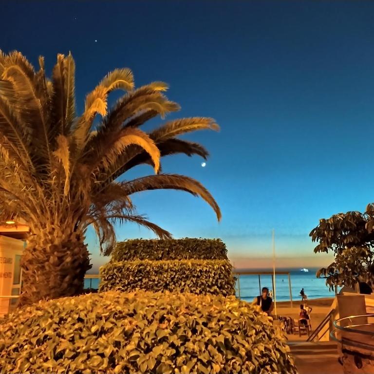Paseo Maritimo beach view - Apartamento de 1 dormitorio - 29