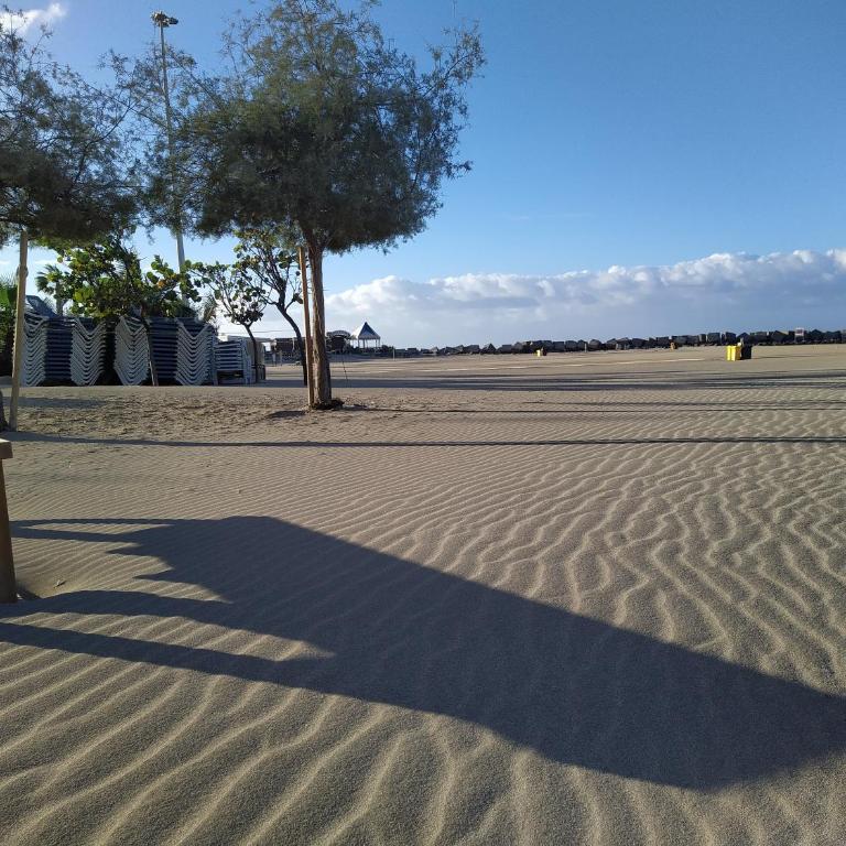 Paseo Maritimo beach view - Apartamento de 1 dormitorio - 37