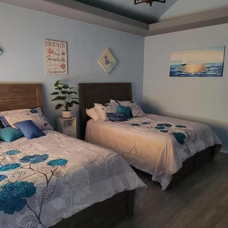 Cabañas Privadas San Carlos Escape & Relax - Apartamento de 1 dormitorio - 1