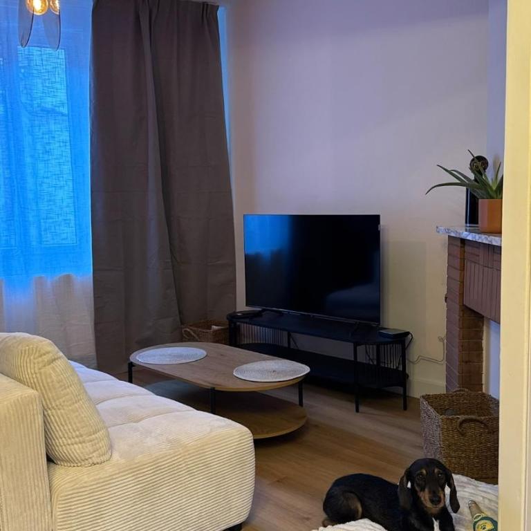 Le 120 Amiens - Maison 1 Chambre - 6