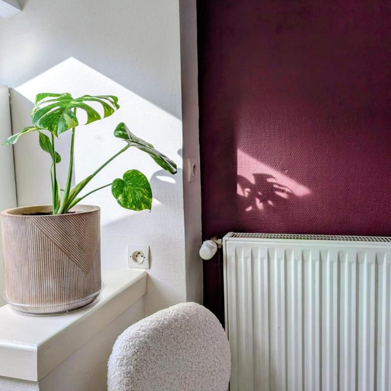 Le 120 Amiens - Maison 1 Chambre - 27