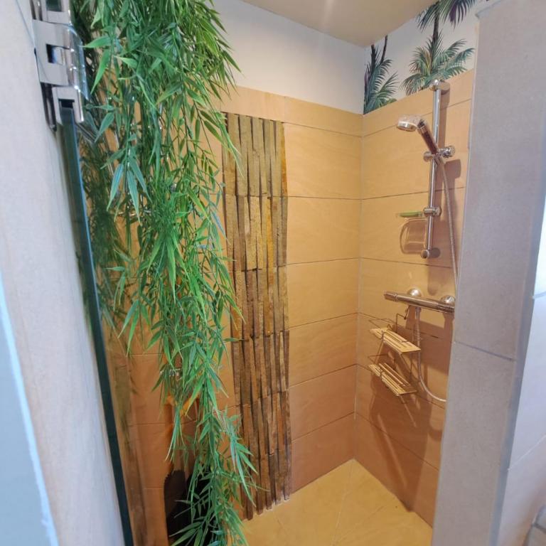 Perle du Pradon Terrasse vue mer, nuit étoilée et jacuzzi - Appartement 1 Chambre - 4