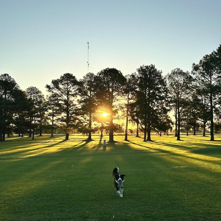 Casaquinta overlooking the golf course - Three-Bedroom Home - 30
