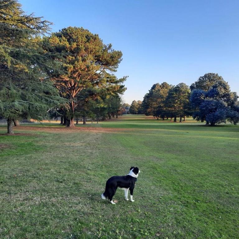Casaquinta overlooking the golf course - Three-Bedroom Home - 32