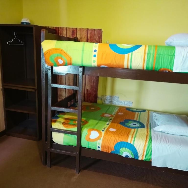 La Casa del Manzano - Cama Individual en habitación compartida femenina - 2